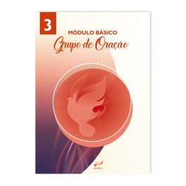 Módulo Básico 3 - Grupo de Oração